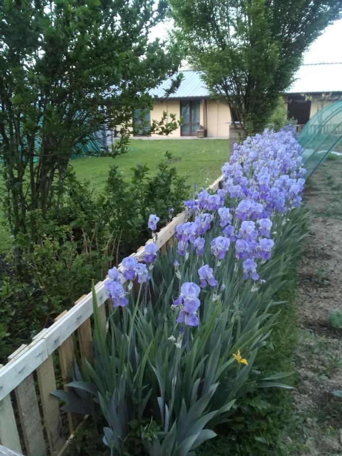 Apartmán Il Mulino Di Geminella Narzole Exteriér fotografie